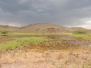 Ephemeral Lake taken by Soraya