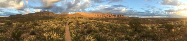 Light is up by Soraya